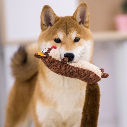 Pet gift